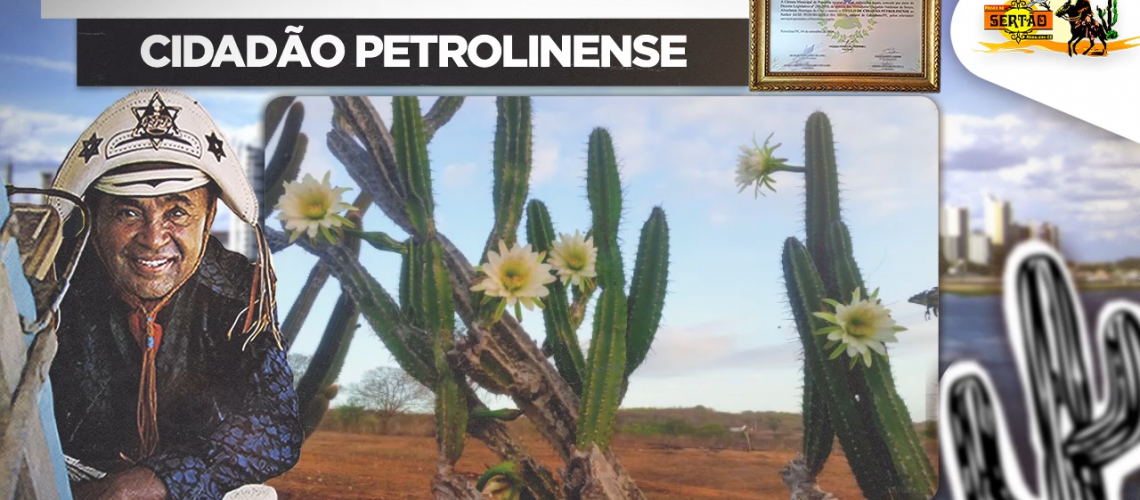 Capa Show Ao Vivo Cidadão Petrolinense 1977 Parte 04